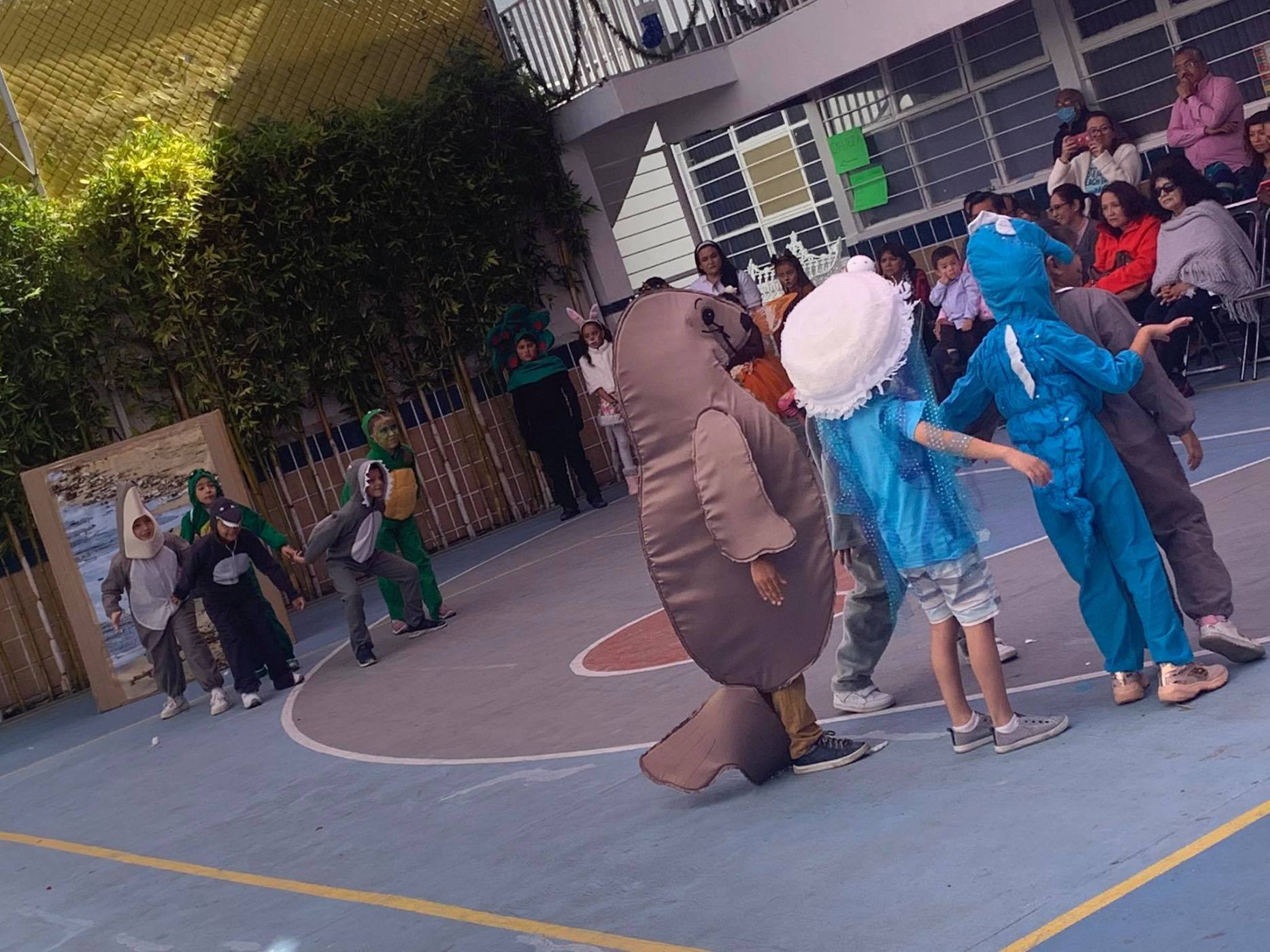 INSTITUTO-08